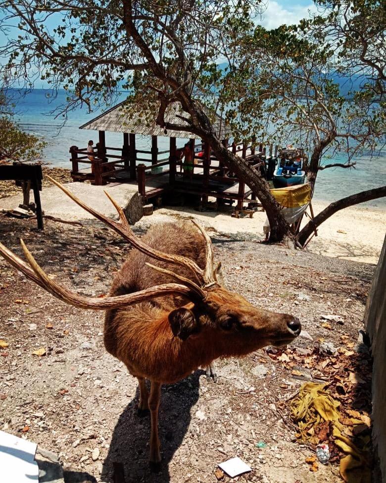 Badini Homestay Pemuteran  Bagian luar foto